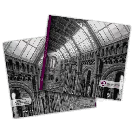 braer_arch_2016_460.png braer_arch_2016_460.png