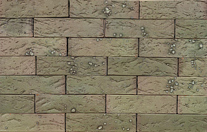 Кирпич облицовочный (промо) BRAER PRO T 7.08, 1,0НФ фотография